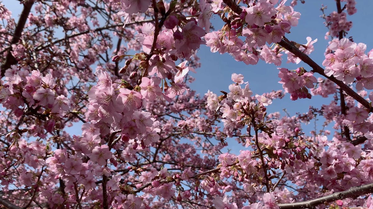 Product niche for dropshipping