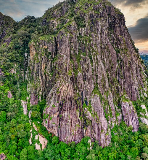 Безкоштовне стокове фото на тему «гора, дерева, зйомка з висоти»