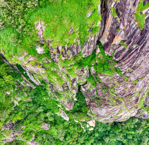
An Aerial Shot of a Rocky Mountain with Trees