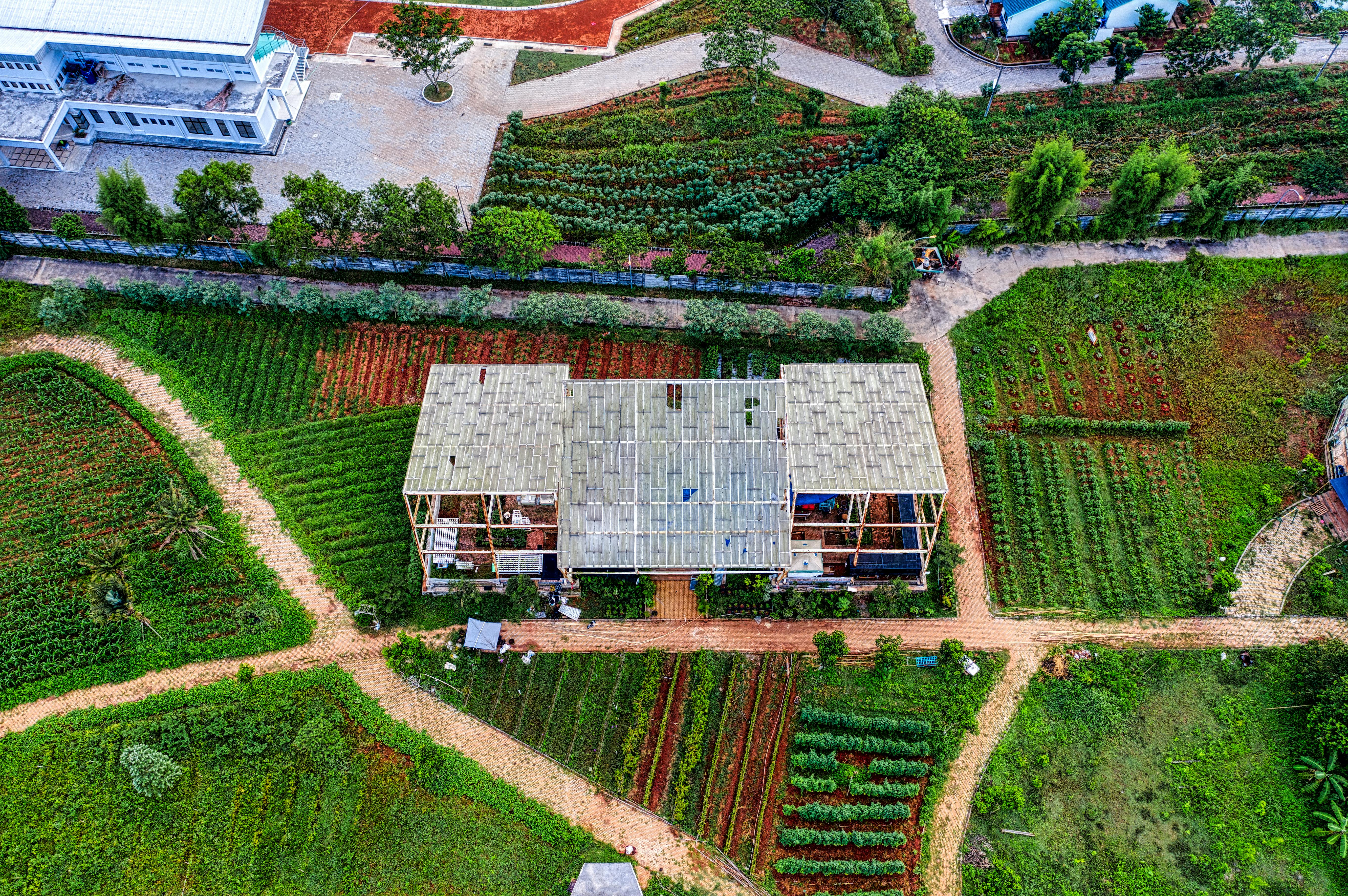 An Aerial Shot of an Agricultural Field in the Countryside