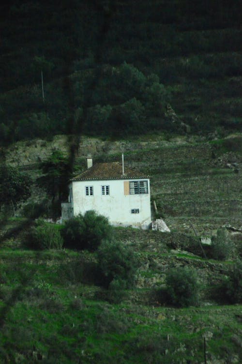 Landscape with a House