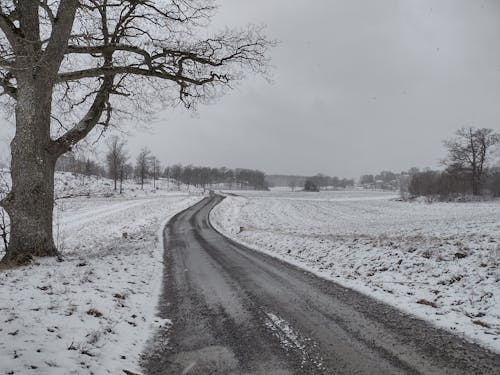 Kostnadsfri bild av grusväg, natur, snö