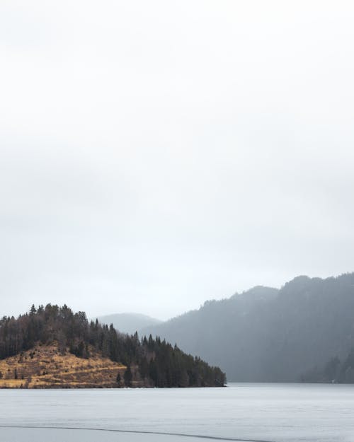 Foggy Landscape of a Lake