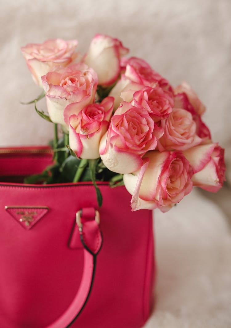 Bunch Of Pink Roses On Pink Prada Bag