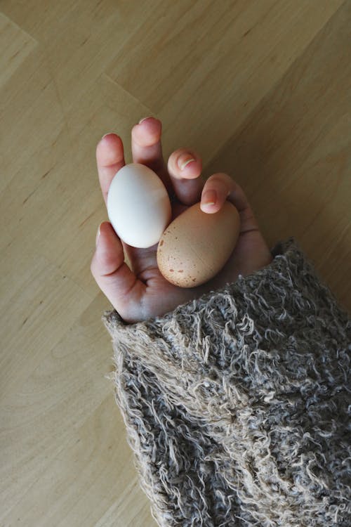 ahşap yüzey, avuç içi, beyaz yumurta içeren Ücretsiz stok fotoğraf