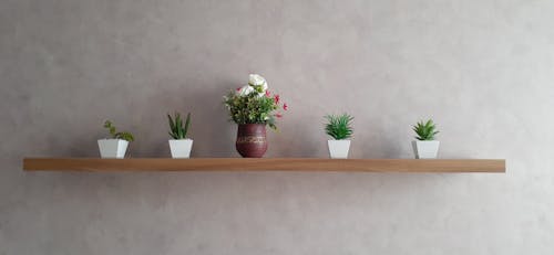 ahşap raf, dekorasyon, ev bitkileri içeren Ücretsiz stok fotoğraf