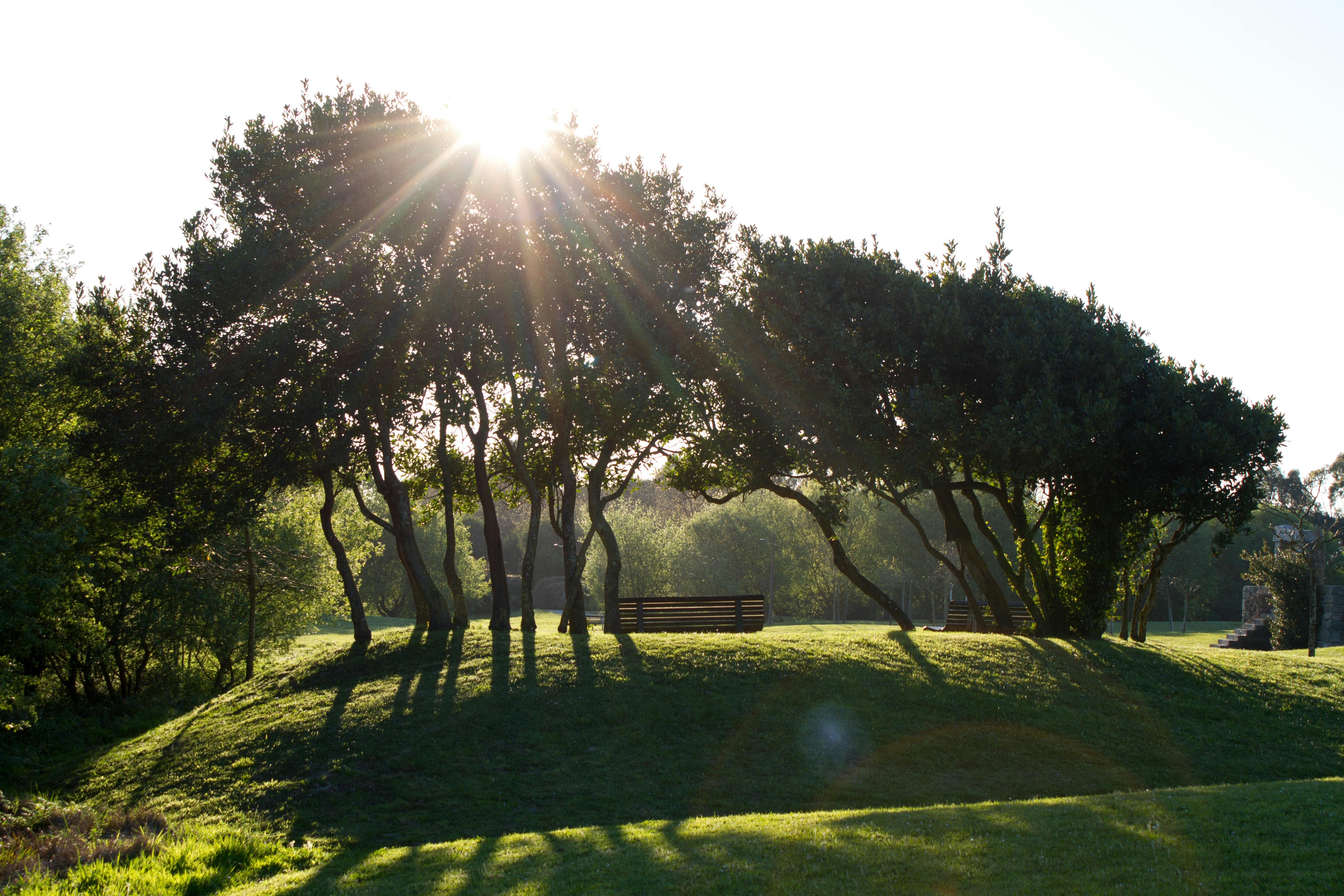 Photo of Póvoa de Varzim