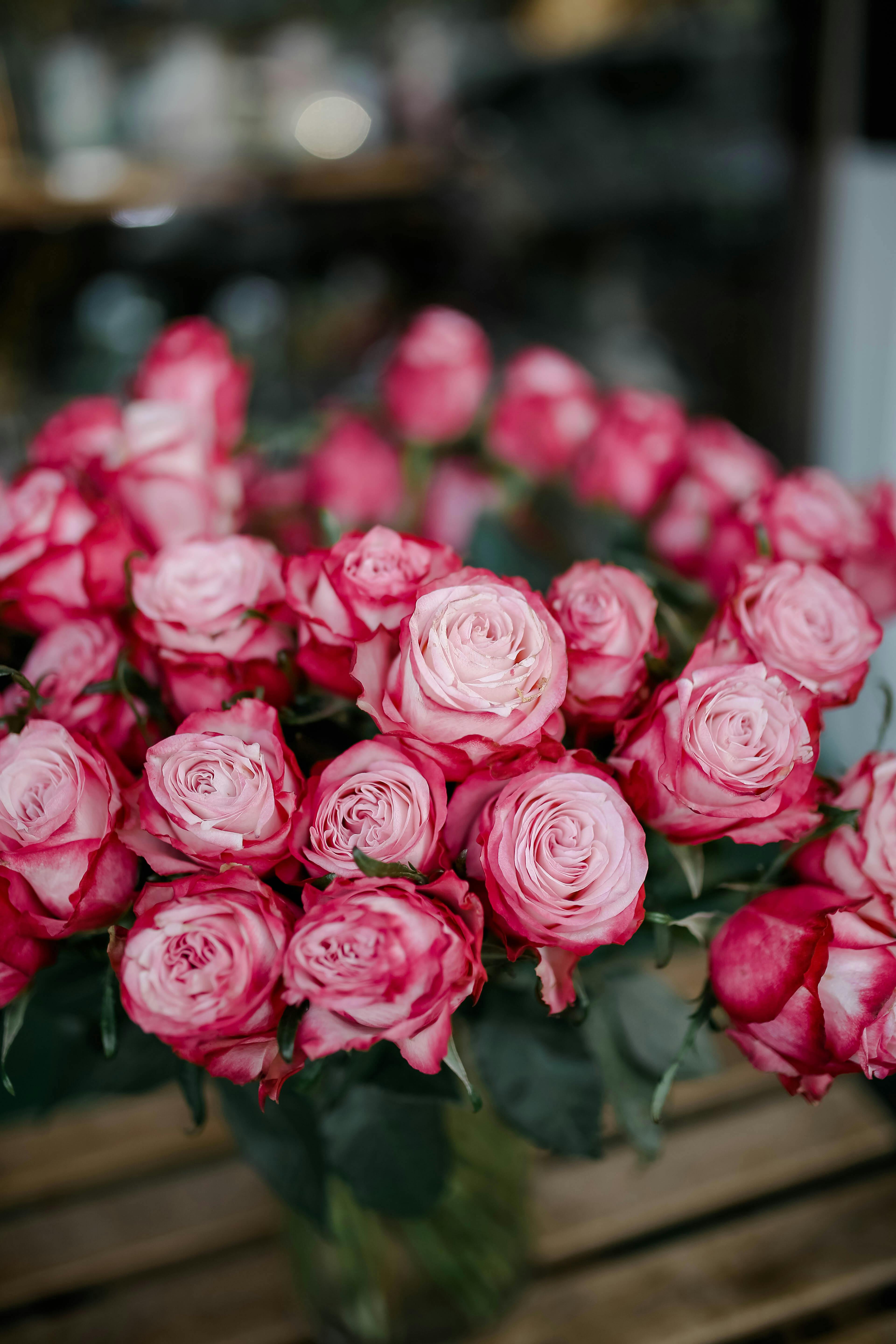 [ColoSach]-a-stunning-close-up-of-pink-roses-in-a-vase,-showcasing-their-vibrant-petals-and-natural-beauty.