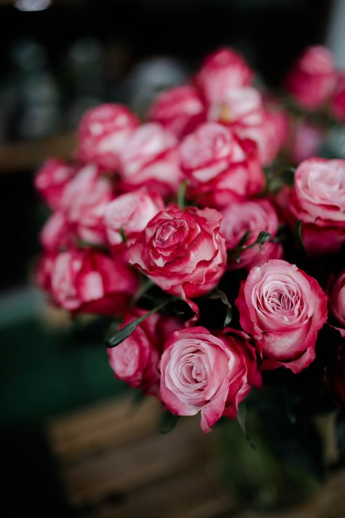 Free Beautiful close-up of fresh pink roses in a lush floral arrangement, showcasing delicate petals. Stock Photo