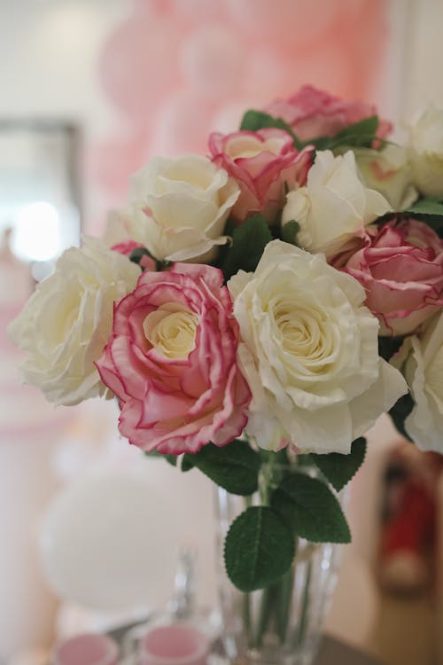 Free White and Pink Roses in Close-Up Photography Stock Photo