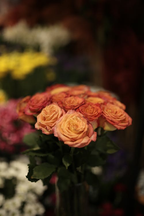 Bouquet of flowers in shop