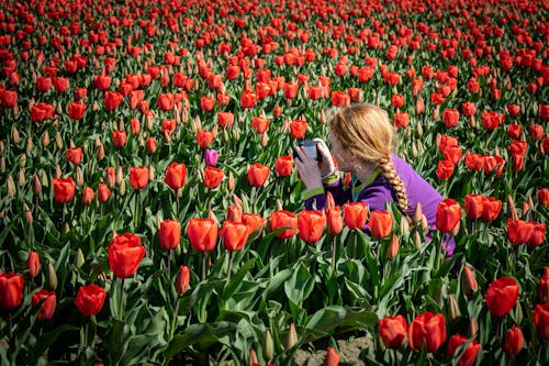 Photo of a Girl with Red Hair Taking Photos of Red Tulips
