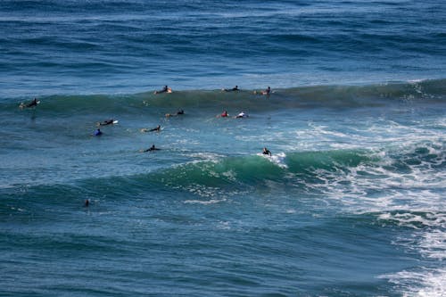 Gratis Foto stok gratis berselancar, gelombang, laut Foto Stok