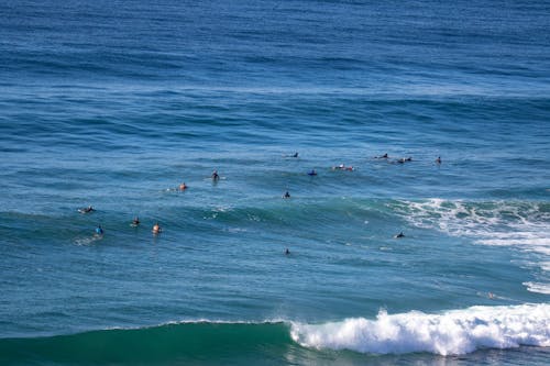 Gratis Foto stok gratis berselancar, gelombang, laut Foto Stok