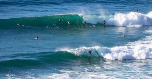 Foto d'estoc gratuïta de estiu, fent surf, gent