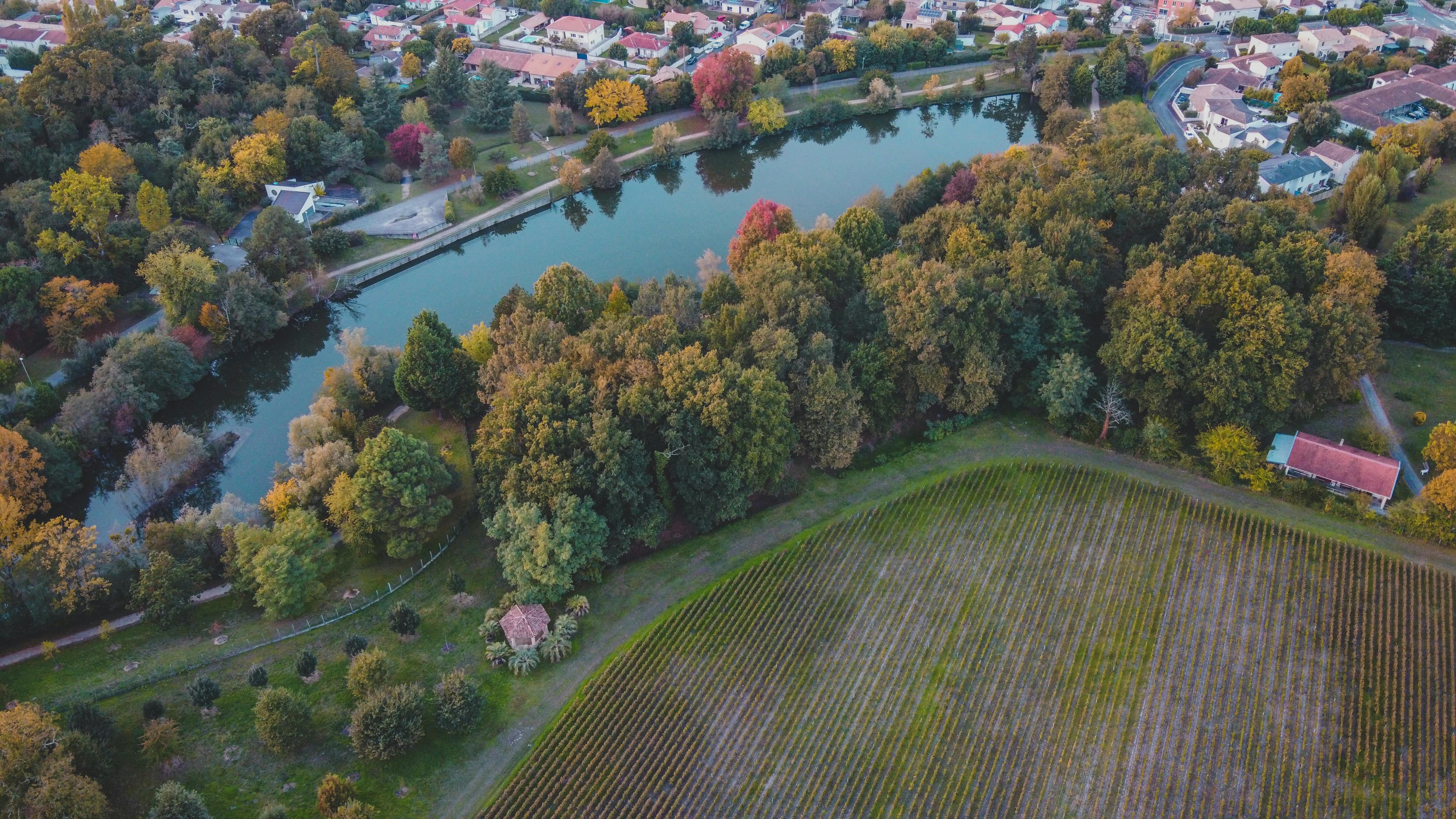 bordeaux waterfront vineyards sunset aerial view