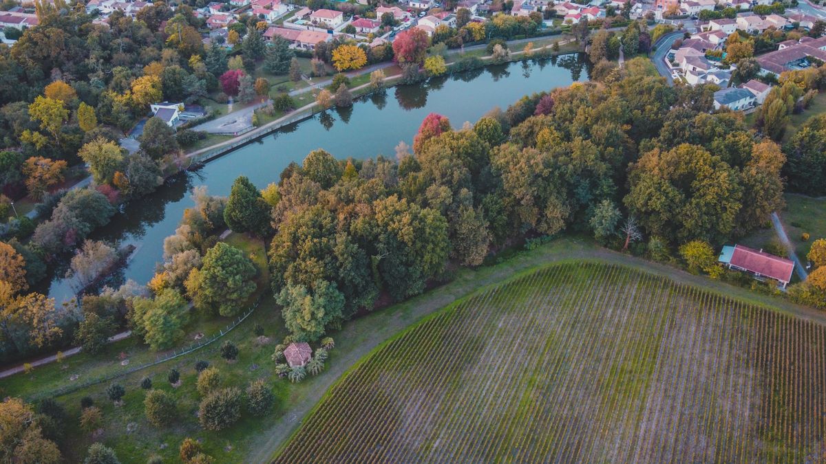 Vue aérienne des vignobles et de la rivière en automne, région de Bordeaux