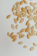 Kabak Çekirdeği Yağı Kullanımının Faydaları Kabak Çekirdeği Yağı Kullanımının Faydaları