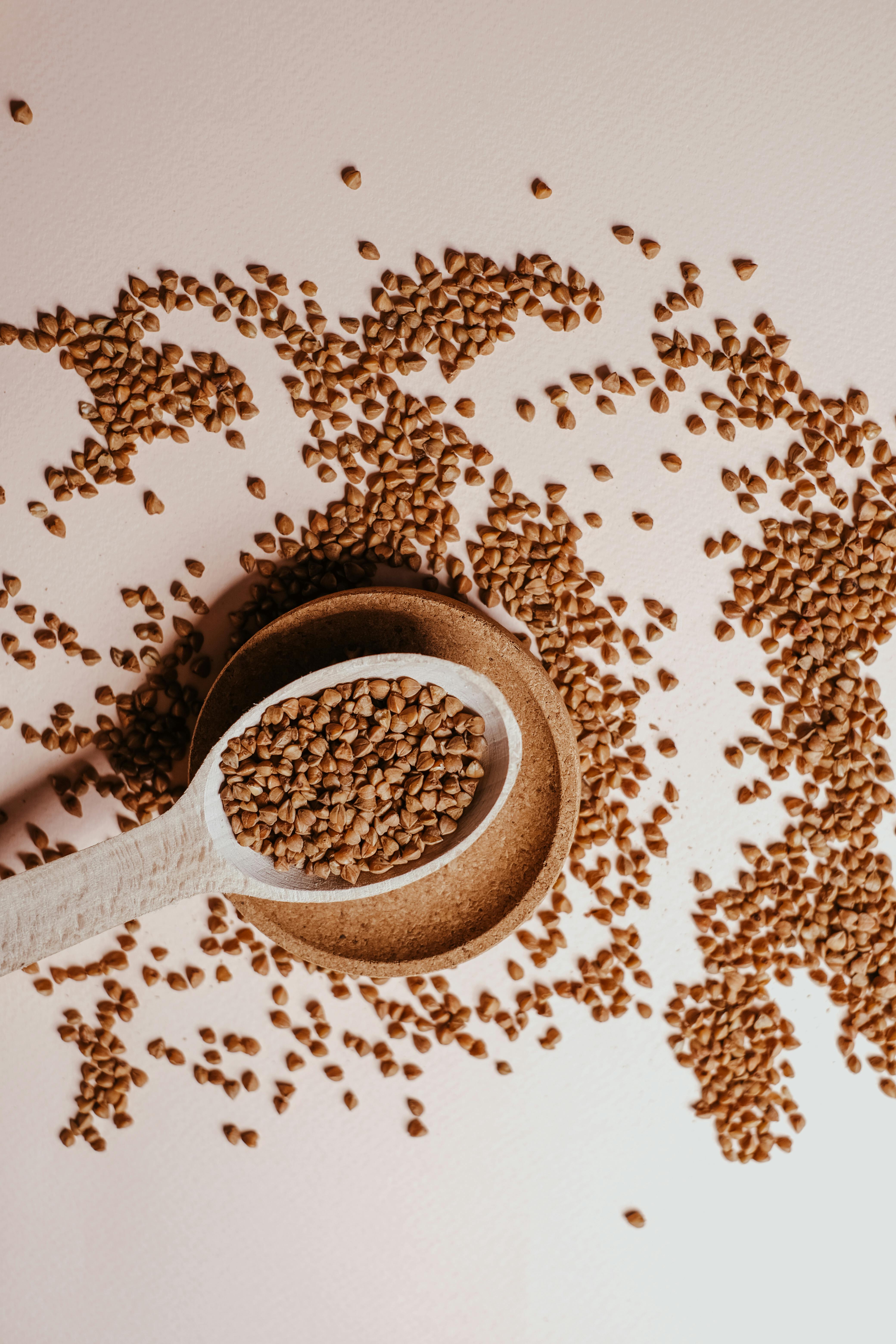 What is the smartest food?