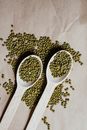Green Beans on White Wooden Spoons