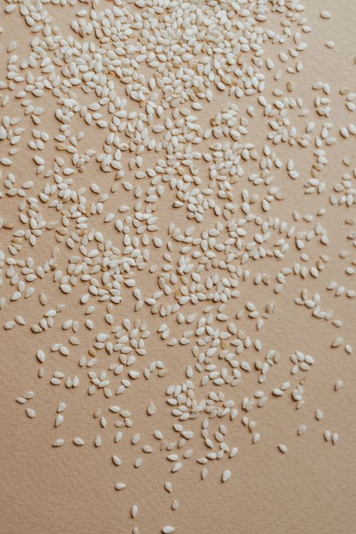 Free A close-up view of organic raw sesame seeds scattered on a surface, ideal for nutrition concepts. Stock Photo
