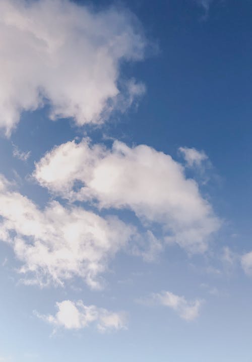 Darmowe zdjęcie z galerii z czyste błękitne niebo, czyste niebo, estetyczne tapety