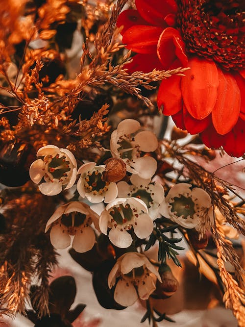 Základová fotografie zdarma na téma aroma, aromatický, barevný