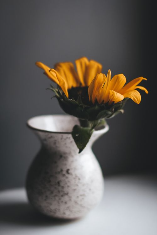 Free A close-up of vibrant sunflowers in a ceramic vase with a soft, muted background. Stock Photo