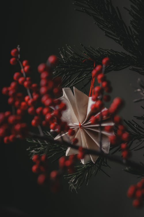Fir tree decorated with creative handmade paper toy and red ashberry twig in darkness