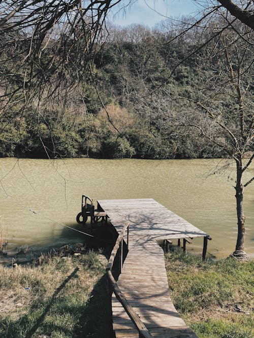Ilmainen kuvapankkikuva tunnisteilla järvi, lehdetön puu, paljaat puut
