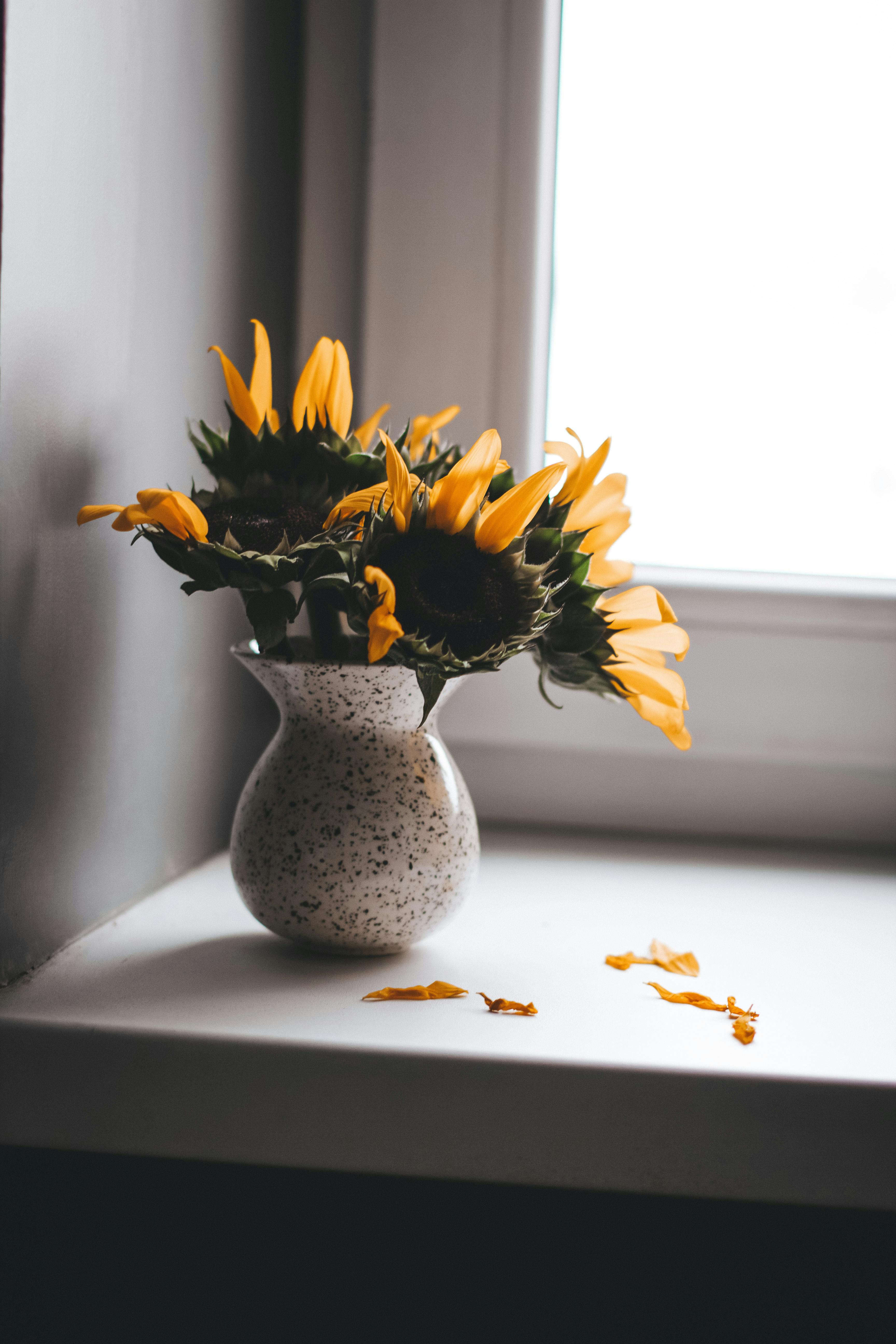 A bouquet of vibrant sunflowers in a vase on a window sill, creating a warm and inviting atmosphere.