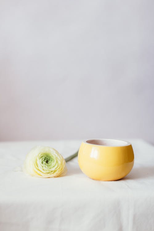 Tender white ranunculus flower and yellow bowl placed on white tablecloth in light room