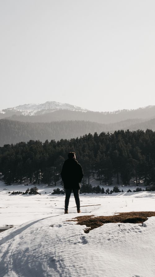 Free A solitary person stands in a snowy landscape overlooking a dense forest and mountains. Stock Photo