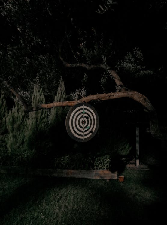 A Dartboard Hanging on a Tree Branch in the Garden
