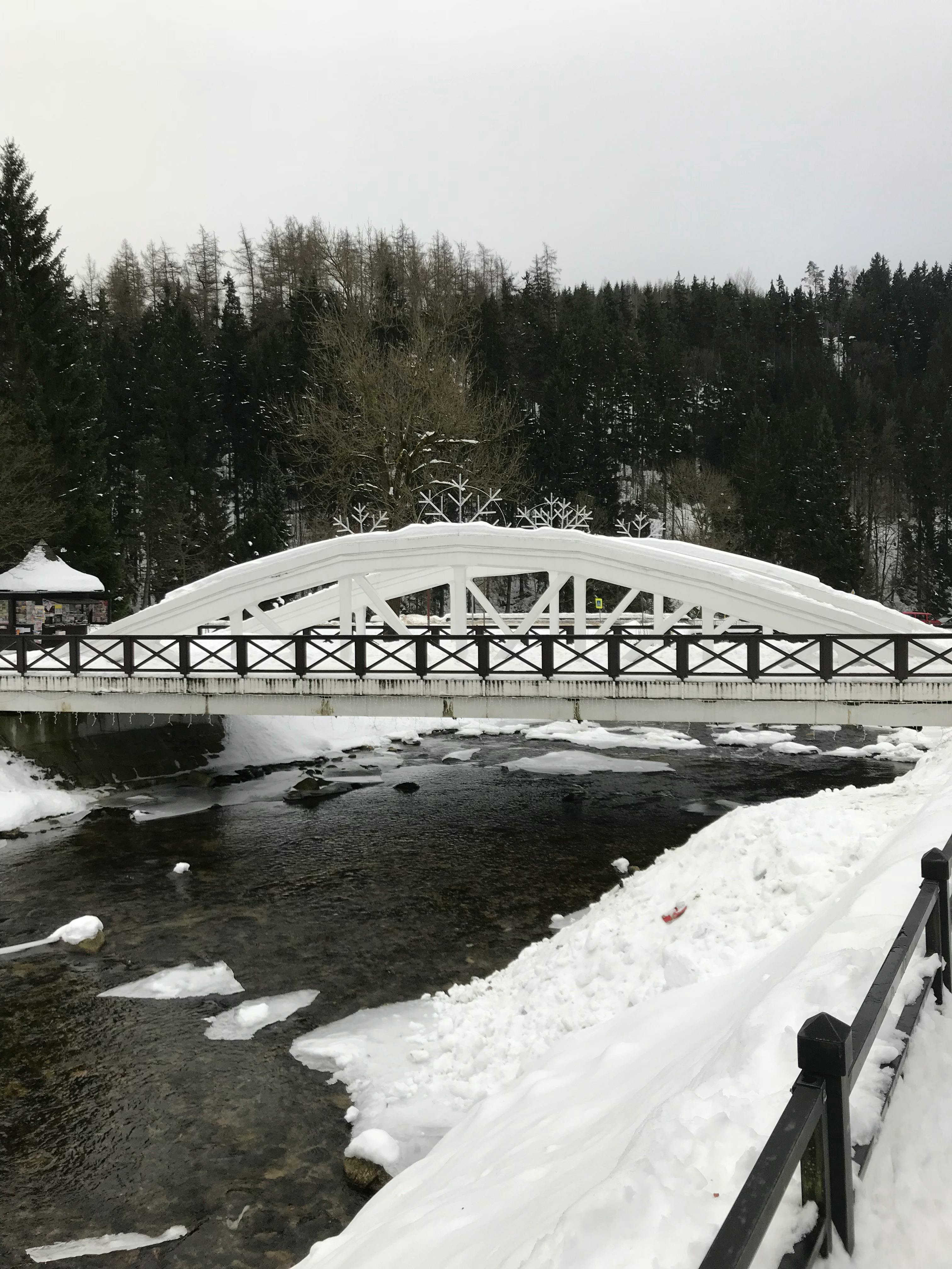 An older woman sitting near a window with a caregiver standing close by