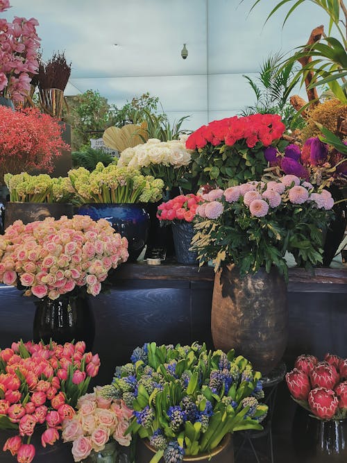 Assorted Flowers on Clay Pots