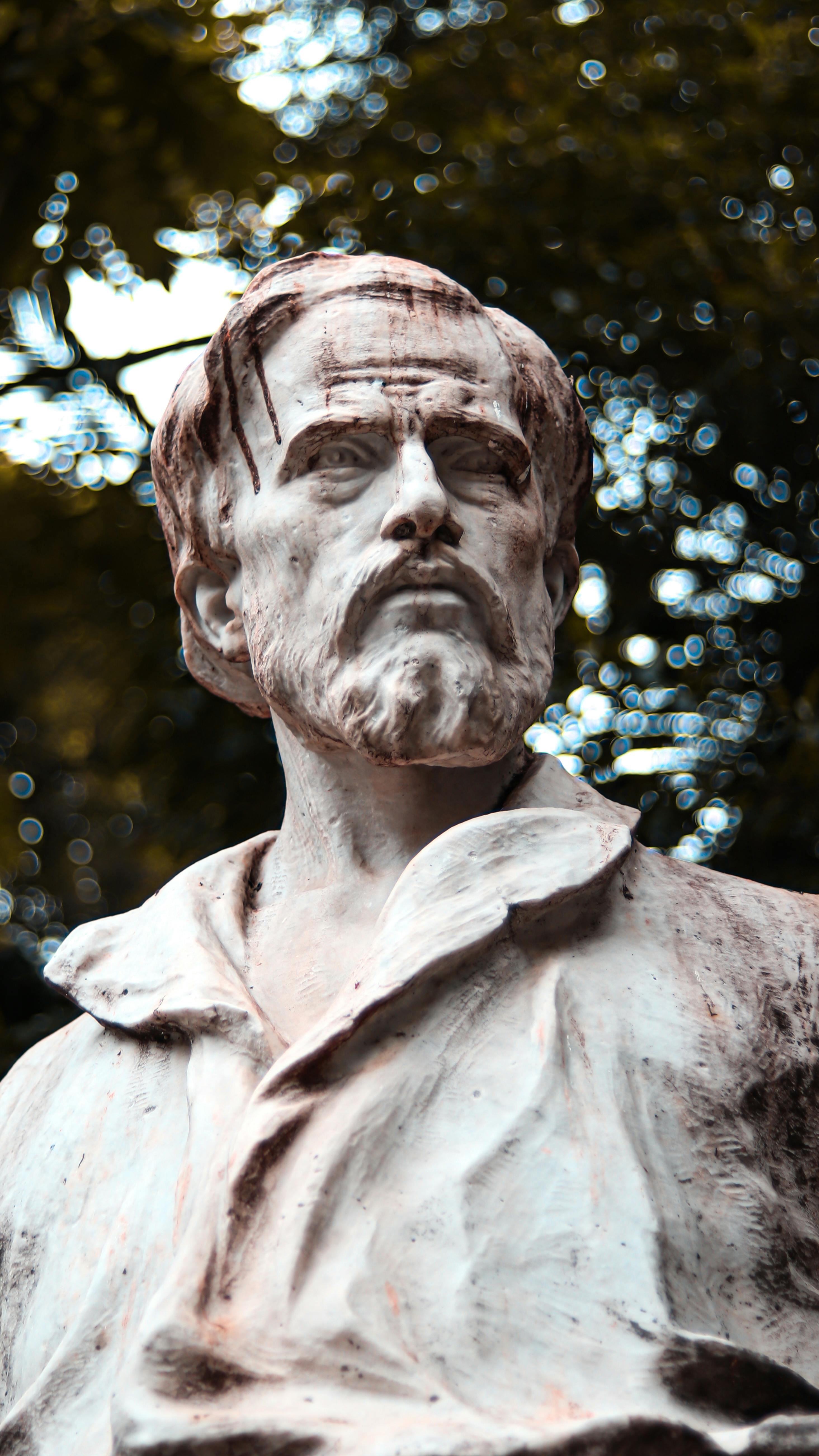 A detailed marble bust of a historic male figure set against a natural outdoor backdrop.