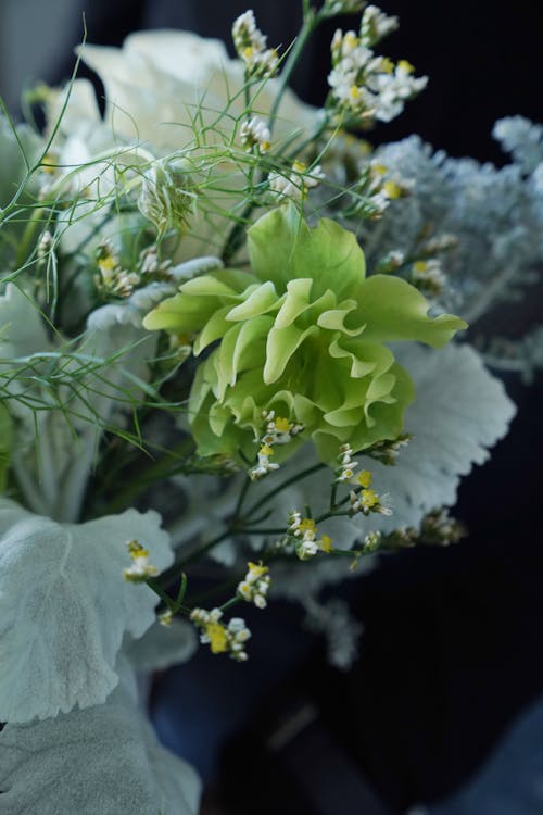 Free From above of bouquet of fresh white and yellow flowers with green leaves on blurred background Stock Photo