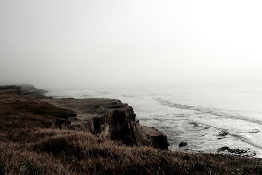 A scenic view of a misty coast with rocky cliffs and gentle waves.