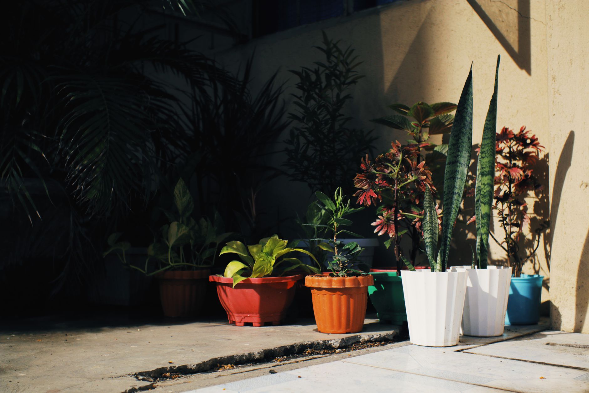 clean patio low maintenance planting uk