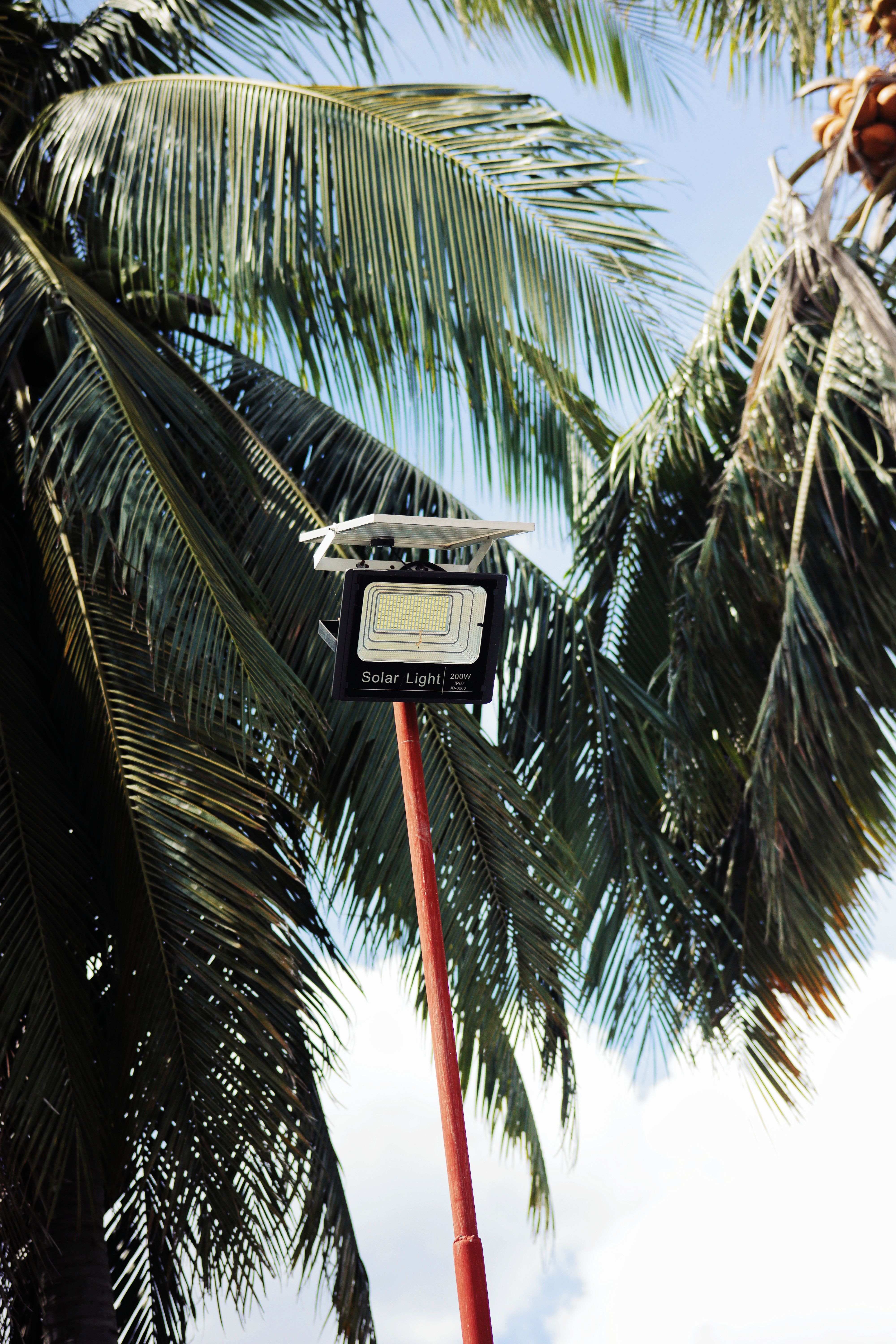 Solar Panel With Palm Tree Photos, Download The BEST Free Solar Panel ...