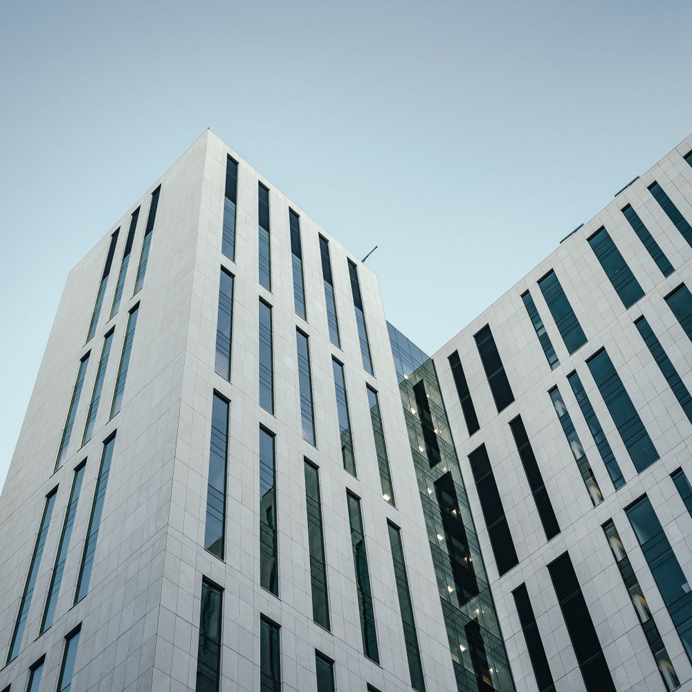 Commercial Decorating in Stamford Hill — surfaces prepped and cut in by hand