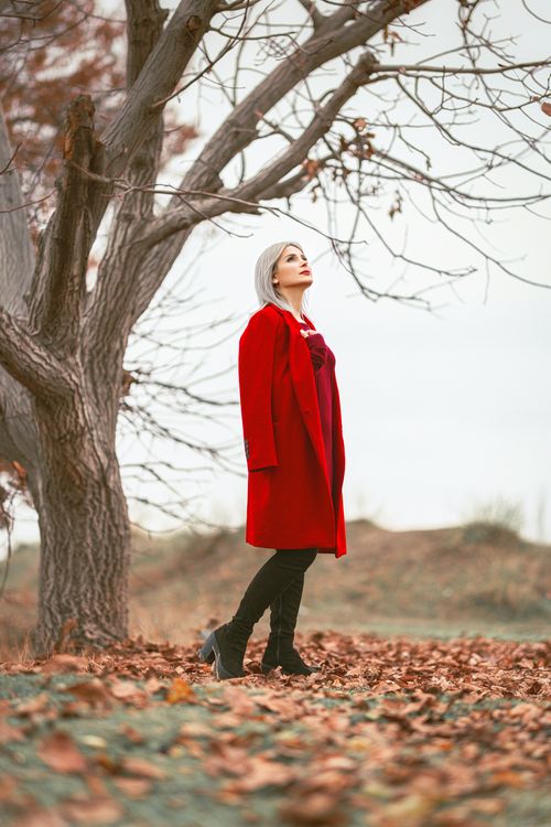 Free A woman in a striking red coat stands amidst autumn leaves under a leafless tree, gazing upwards. Stock Photo