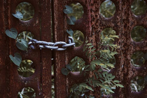 Free Closed old metal gates attached with chain links placed in rural area with green leaves on summer day Stock Photo