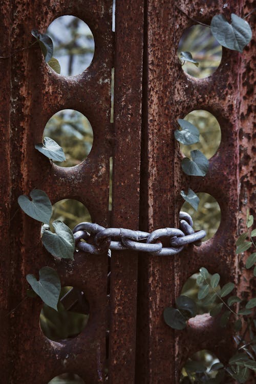 Old gate with chain in countryside