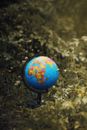Small blue decorative globe placed on grassy lawn with small flowers in nature on summer day