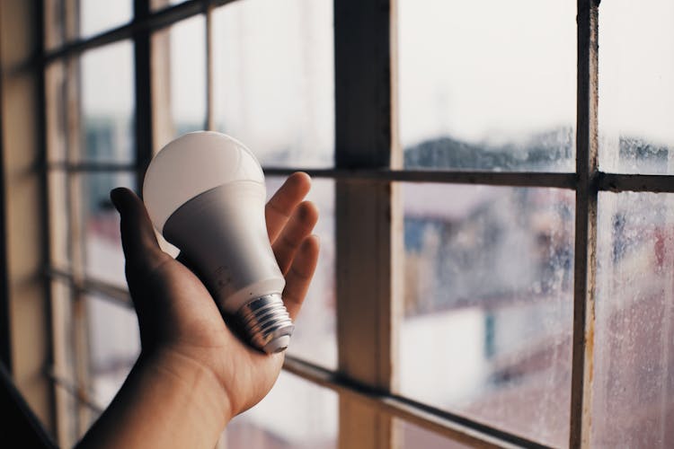 Person Holding Electric Light Bulb Near Window