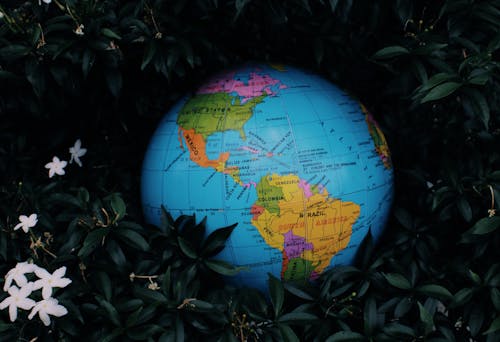 Earth globe toy placed among green plants
