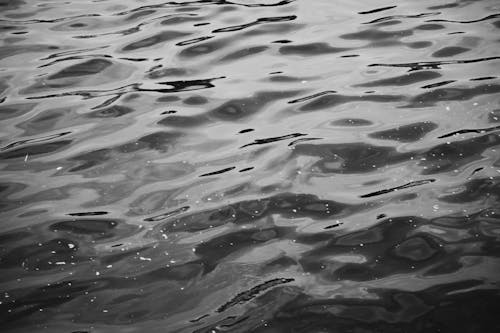 A Water Surface in Black and White
