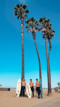 Three young men with surfboards enjoying a sunny day at a tropical beach with tall palm trees.